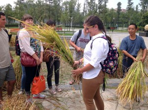 LSU风正规华体会官网apphth华体会体育app官网下载景园林高级主题工作室的学生在亚洲环境中收集草束