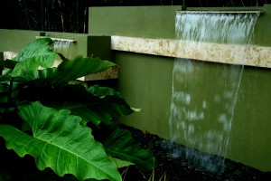 瀑布连成巨大的绿色蕨类植物;Lsu景正规华体会官网app下载观建筑校友工作hth华体会体育app官网