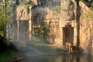 老虎栖息地，lsu景观建筑校友设计正规华体会官网app下载hth华体会体育app官网